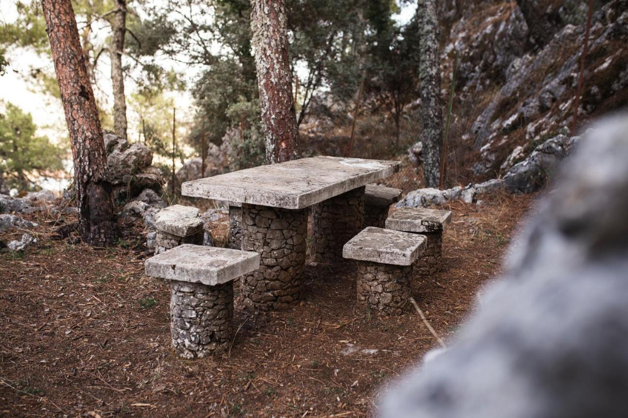 Camping Tajorodillo Grazalema Exterior foto